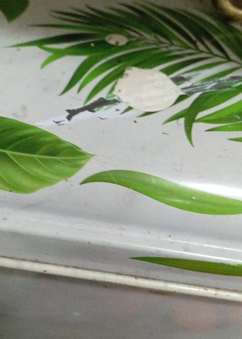 Yeşil Parlak Yaprak Desenli ekmeklik - Görsel 4