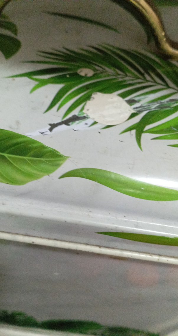 Yeşil Parlak Yaprak Desenli ekmeklik - Görsel 4