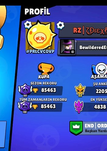 brawl stars 85k kupalık hesap - Görsel 11