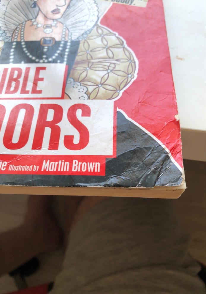 Horrible Histories: Korkunç Tudorlar - Görsel 2