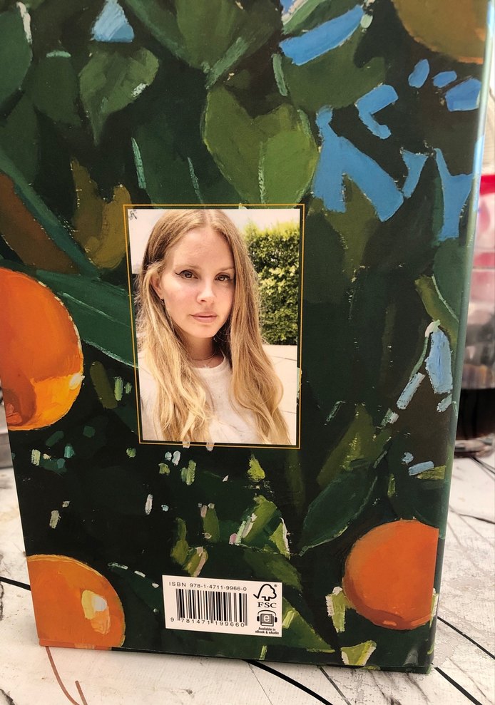 Violet Bent Backwards Over the Grass - Lana Del Rey - Görsel 2