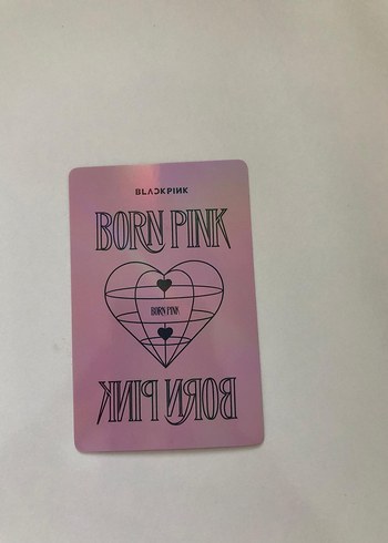  Blackpink Rose 