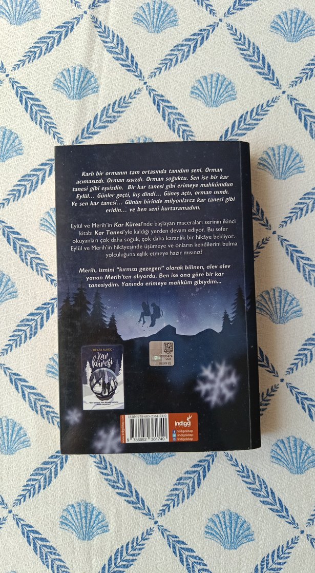 Kar Tanesi - Beyza Alkoç - Görsel 2