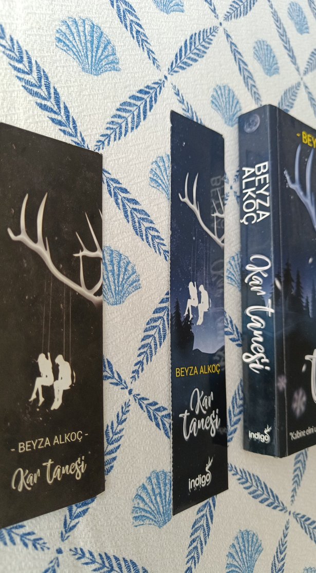 Kar Tanesi - Beyza Alkoç - Görsel 3