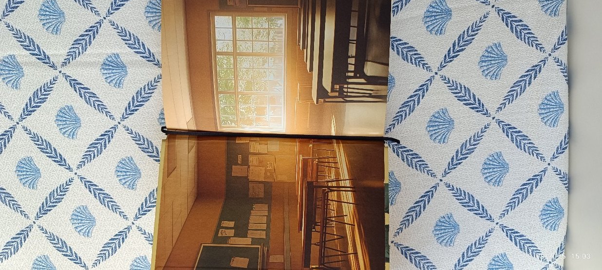 Çevrim İçi - Sümeyye Demirkan - Görsel 5