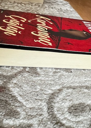 Kırlangıç Çığlığı - Ahmet Ümit - Görsel 2