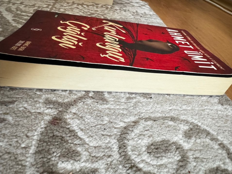 Kırlangıç Çığlığı - Ahmet Ümit - Görsel 2