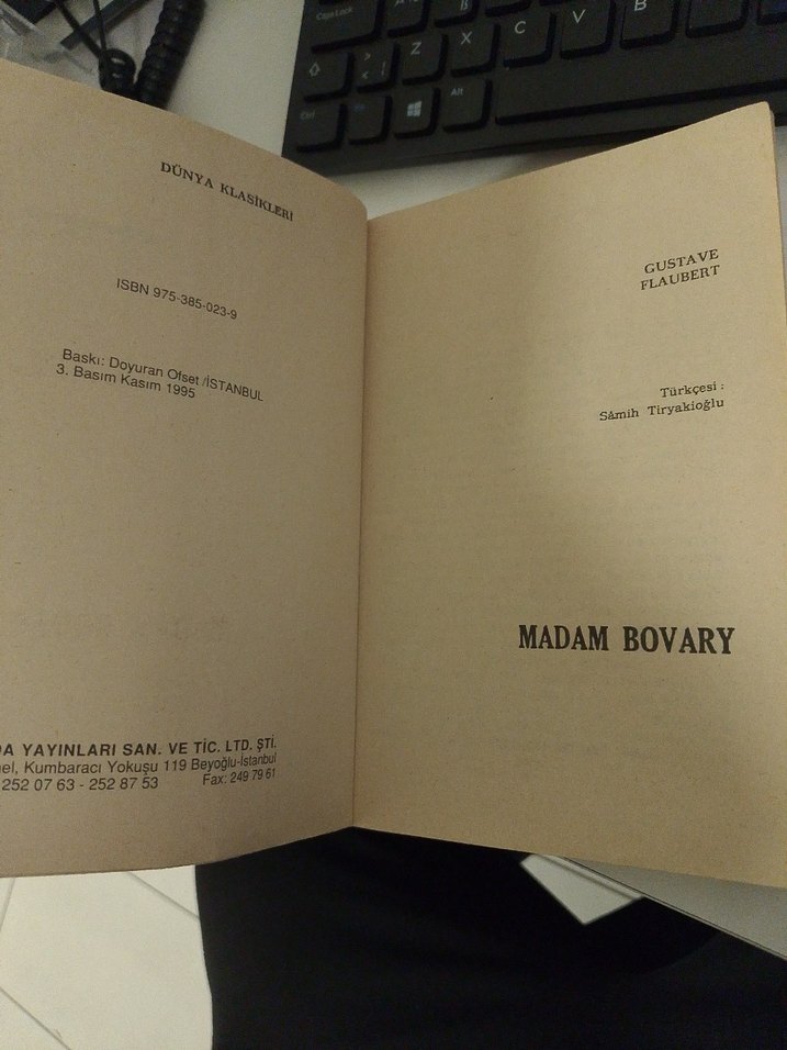 Madam Bovary Roman - Flaubert - Görsel 4