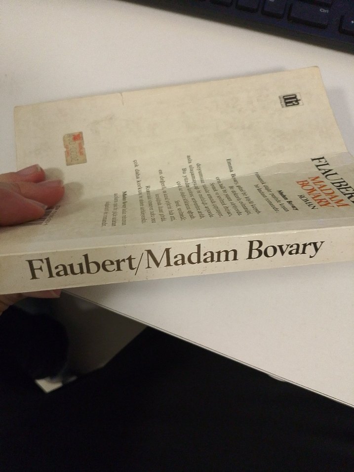 Madam Bovary Roman - Flaubert - Görsel 3