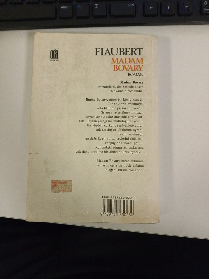 Madam Bovary Roman - Flaubert - Görsel 2