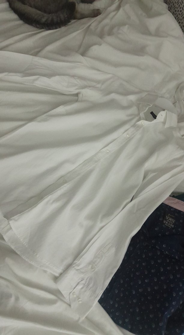 Düğmeli Beyaz  Erkek Gömlek - Görsel 2