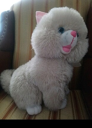 Pelus kedi 