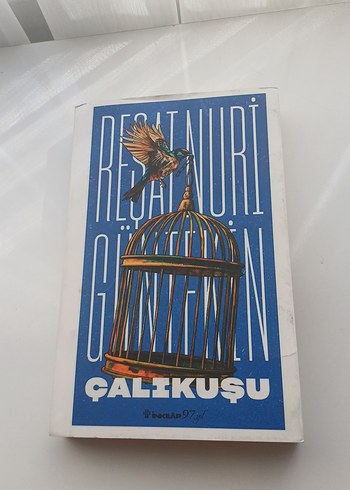 Reşat Nuri Güntekin - Çalıkuşu Romanı
