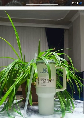 açık maviStanley Termos Bardak ve Saklama Kabı - Görsel 4