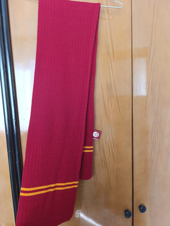 Galatasaray Atkısı - Görsel 2