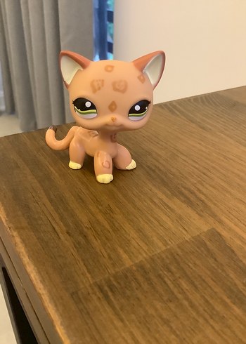 Pastel Kahverengi Kedi Miniş