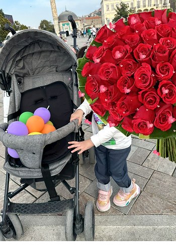 Gri Bebek Arabası - Görsel 3