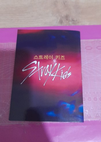  Stray Kids defter