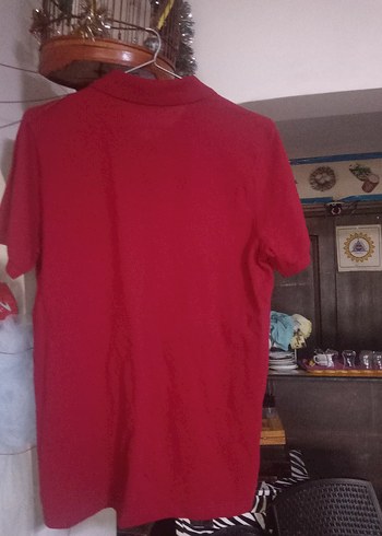 Kırmızı Düğmeli Erkek Polo Tişört - Görsel 2