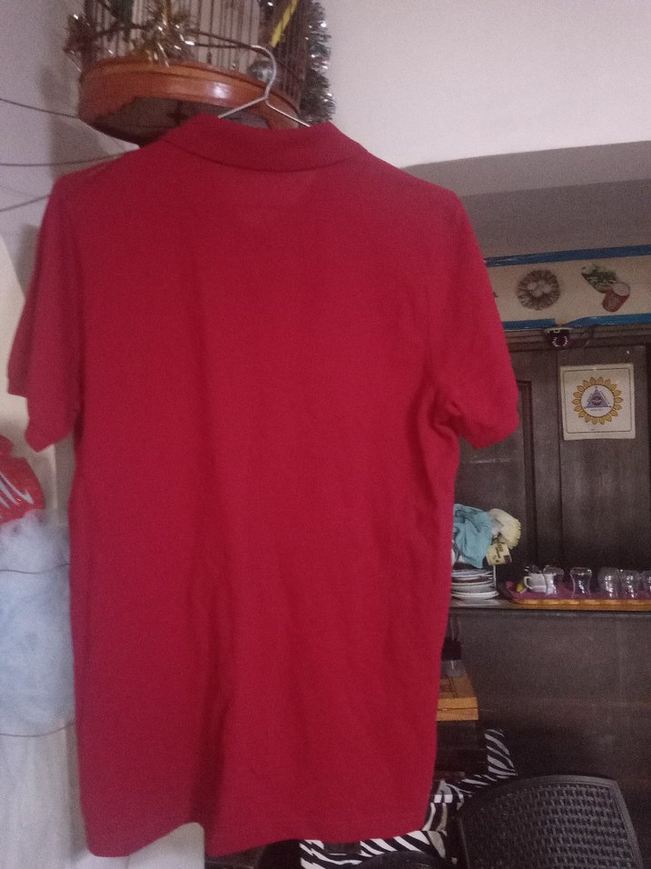 Kırmızı Düğmeli Erkek Polo Tişört - Görsel 2