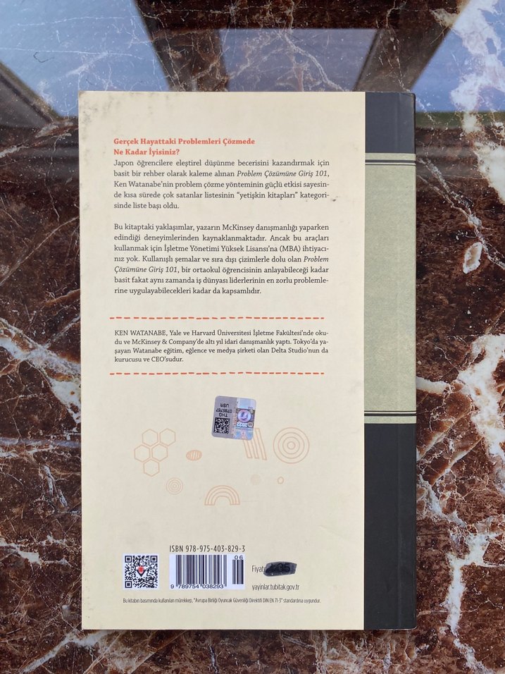 Problem Çözümüne Giriş 101 - Ken Watanabe - Görsel 2