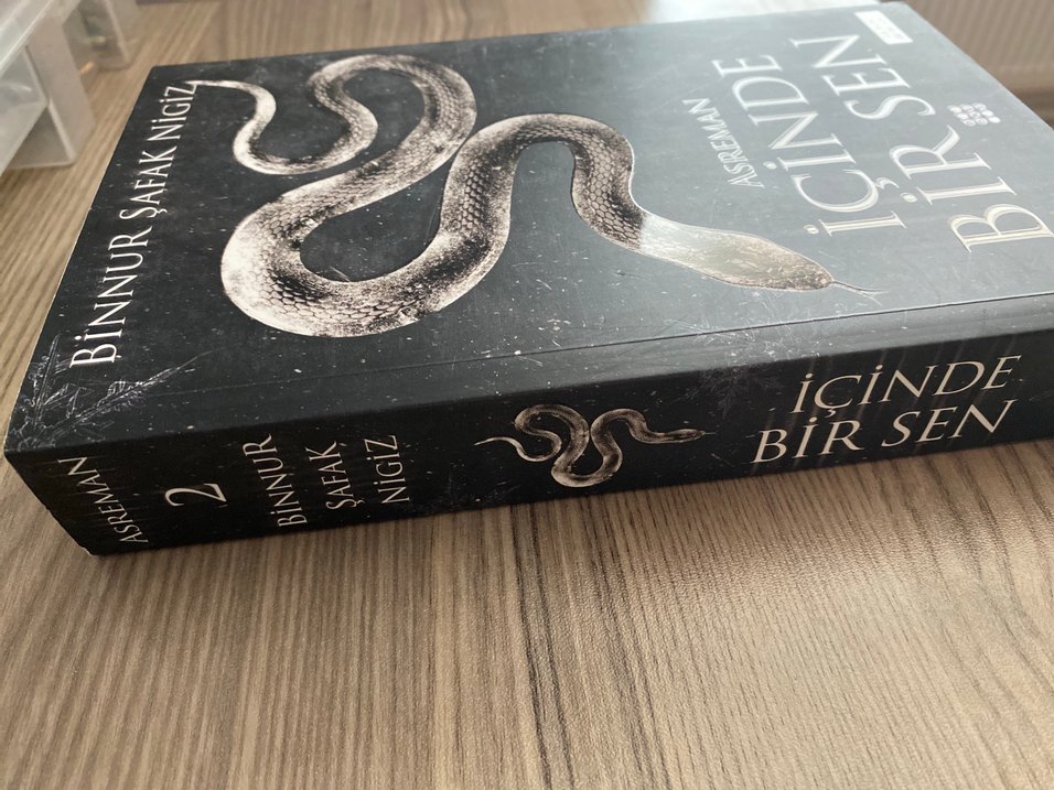 İçinde Bir Sen 2- Binnur Şafak Nigiz - Görsel 2