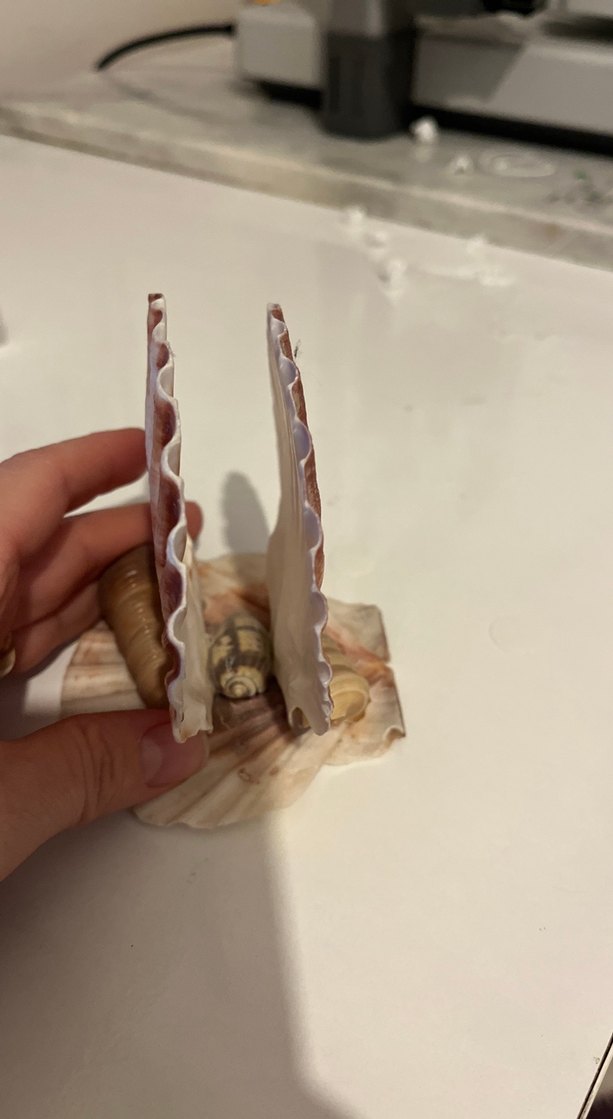 Bej Deniz Kabuğu peçetelik - Görsel 2