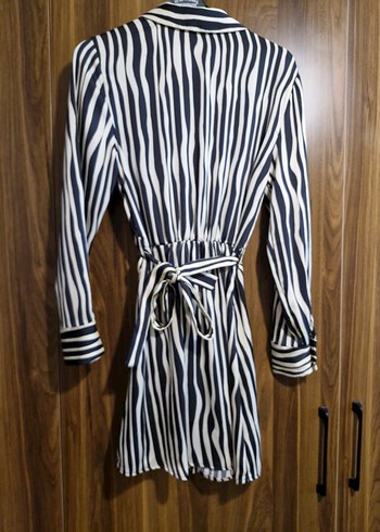 Zebra Desenli Uzun Kollu Saten  Kadın Elbise - Görsel 5