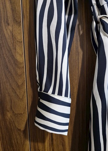 Zebra Desenli Uzun Kollu Saten  Kadın Elbise - Görsel 3