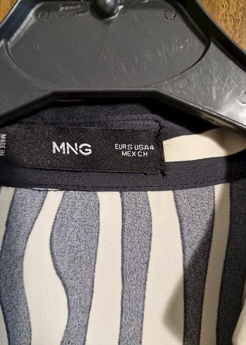 Zebra Desenli Uzun Kollu Saten  Kadın Elbise - Görsel 2