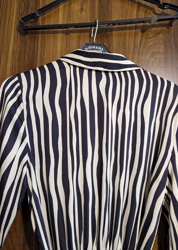 Zebra Desenli Uzun Kollu Saten  Kadın Elbise - Görsel 6