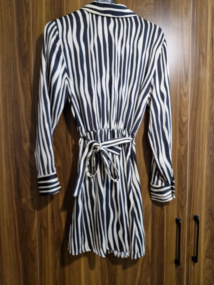 Zebra Desenli Uzun Kollu Saten  Kadın Elbise - Görsel 5