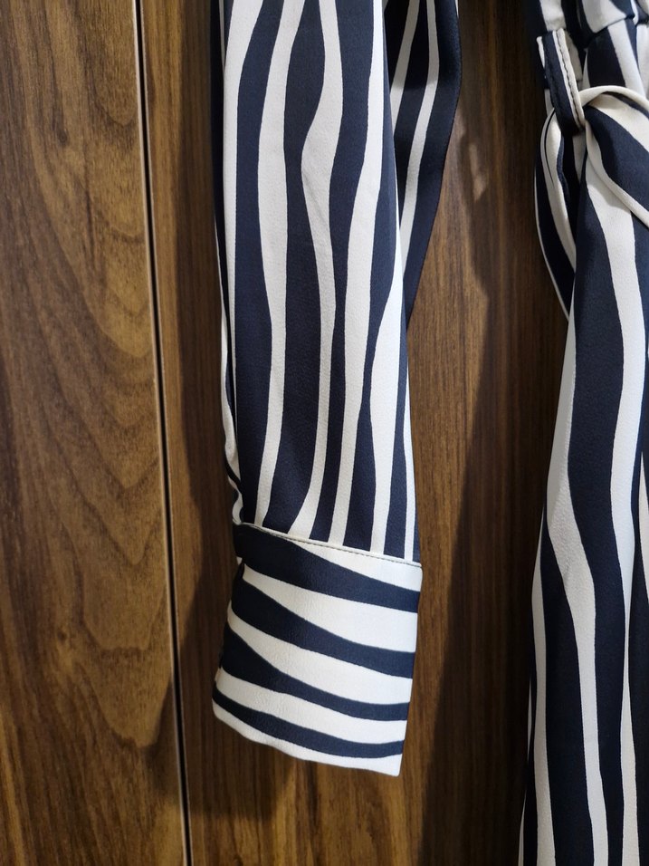 Zebra Desenli Uzun Kollu Saten  Kadın Elbise - Görsel 3