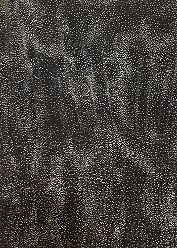 Kadın Siyah Kolsuz Pilili kendinden simli Bluz - Görsel 3