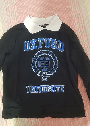 Mavi Oxford Baskılı Polo Yaka Sweatshirt