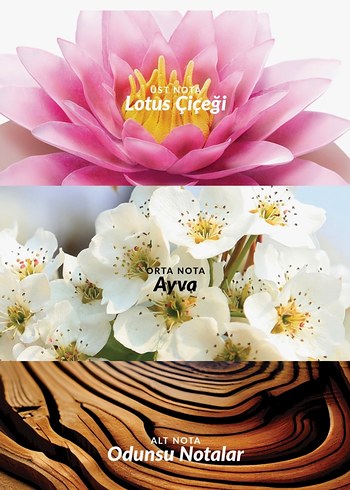 Avon ıncandessence lotus - Görsel 2