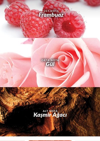 Avon Loviu Kadın Parfümü 30 ml - Görsel 2