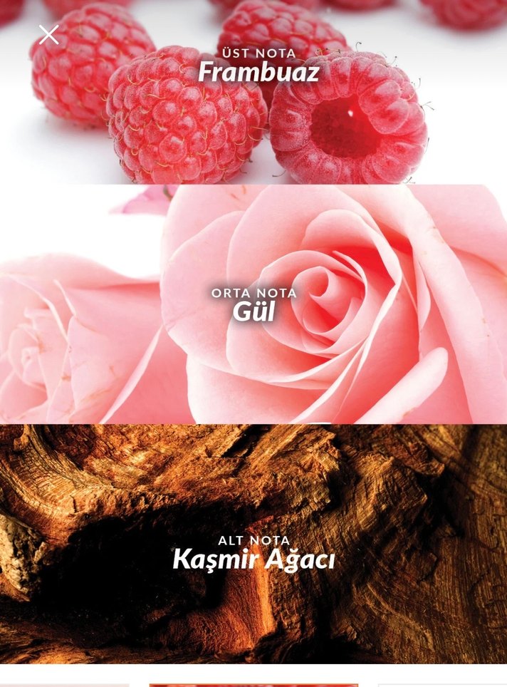 Avon Loviu Kadın Parfümü 30 ml - Görsel 2