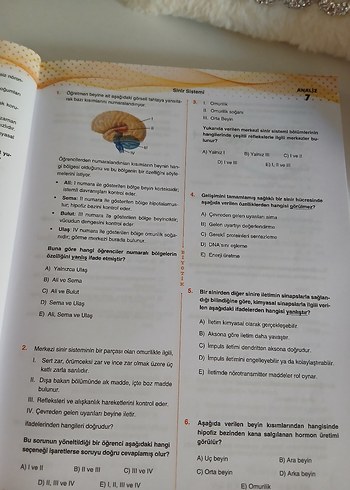 AYT Biyoloji Soru Bankası Video Çözümlü - Görsel 2
