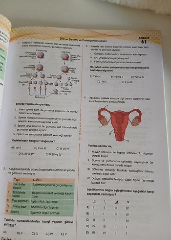 AYT Biyoloji Soru Bankası Video Çözümlü - Görsel 4