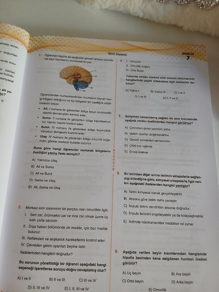 AYT Biyoloji Soru Bankası Video Çözümlü - Görsel 2