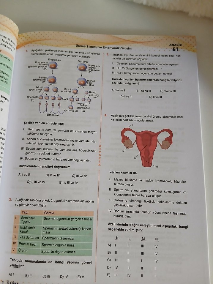 AYT Biyoloji Soru Bankası Video Çözümlü - Görsel 4