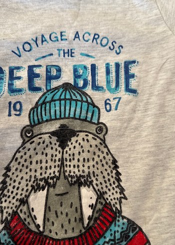 Gri Baskılı Uzun Kollu Erkek Bebek Takımı - Görsel 2