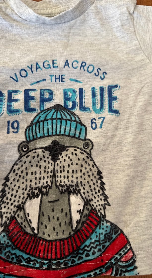 Gri Baskılı Uzun Kollu Erkek Bebek Takımı - Görsel 2