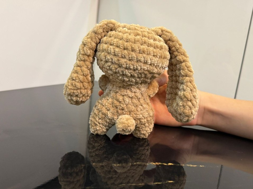 Kalp tutan tavşan - Görsel 3