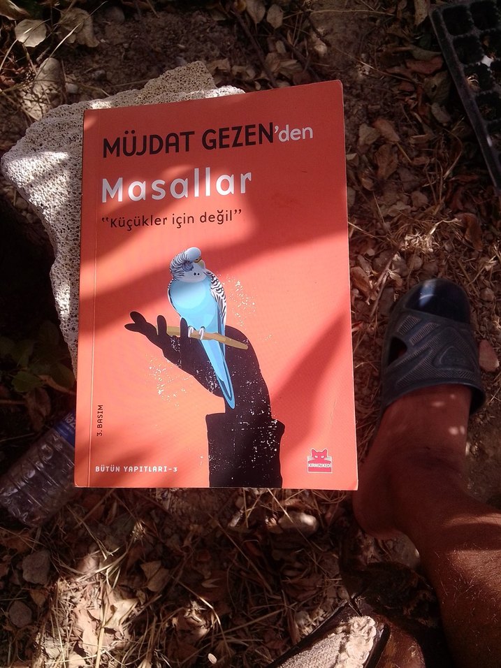 Müjdat Gezen'den Masallar - Küçükler İçin Değil - Görsel 2
