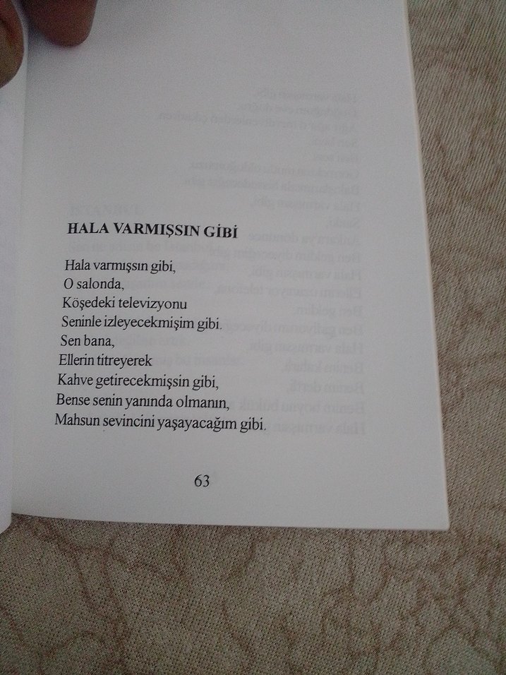 Hala Varmışsın Gibi.Şiir Kitabı - Görsel 4