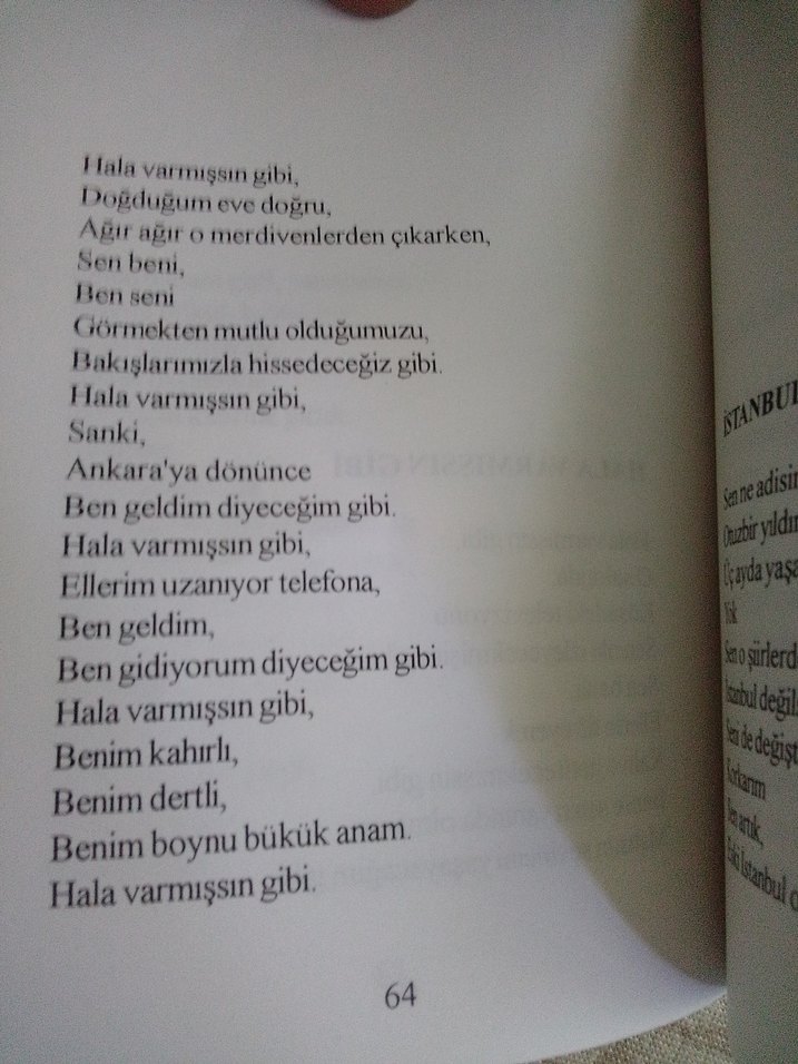Hala Varmışsın Gibi.Şiir Kitabı - Görsel 3