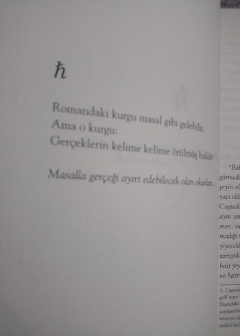 Aeden Bir Dünya Hikayesi - Akilah - Görsel 7