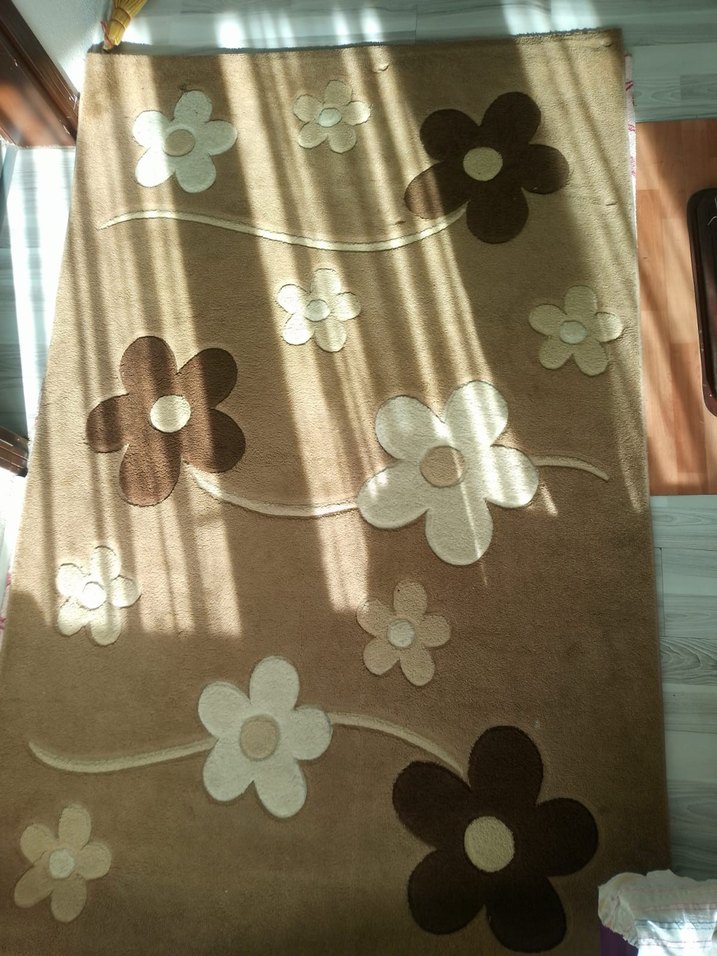 Bej Çiçek Desenli Modern Halı - Görsel 2